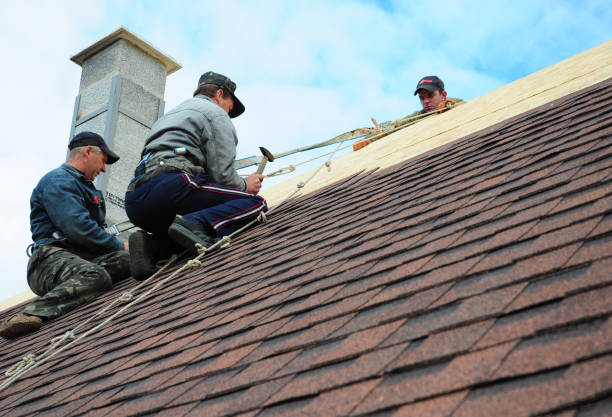 Best Storm Damage Roof Repair  in Lyndon, KY