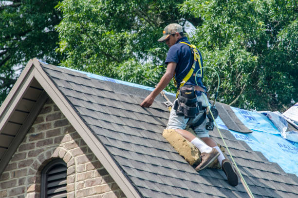 Best Roof Gutter Cleaning  in Lyndon, KY